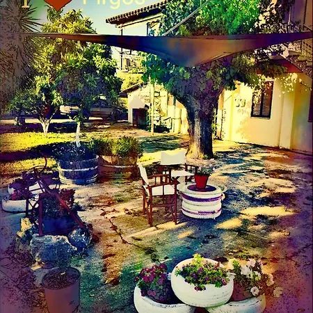 Vasilis House *