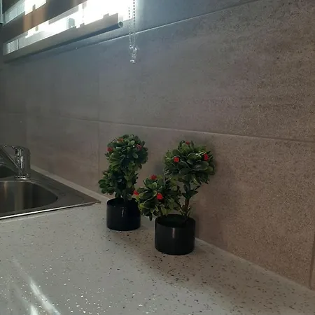 Vasilis House Apartamento